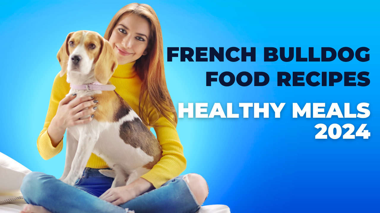 French Bulldog Food Recipes: Healthy Meals 2024