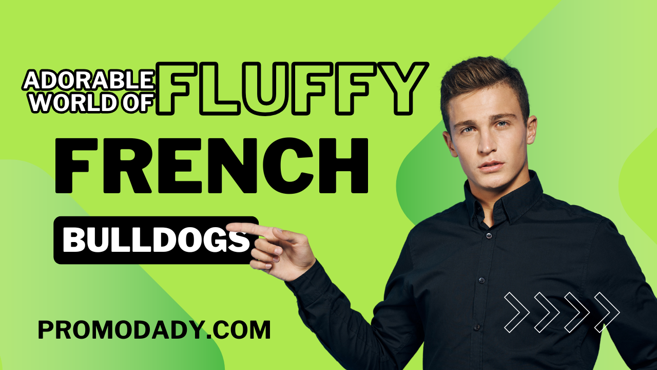 The Adorable World of Fluffy French Bulldogs 2024