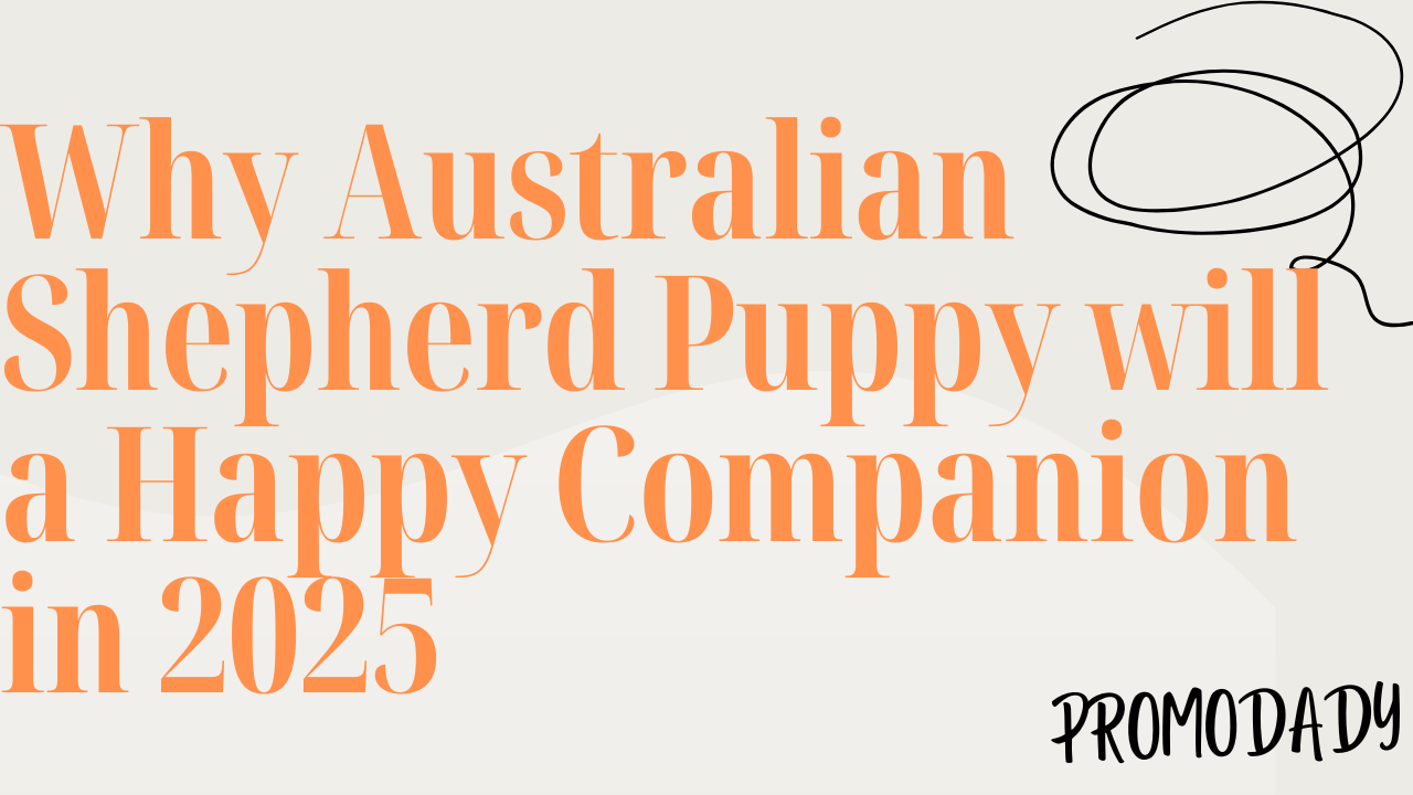 Why Australian Shepherd Puppy will be Happy Companion in 2025