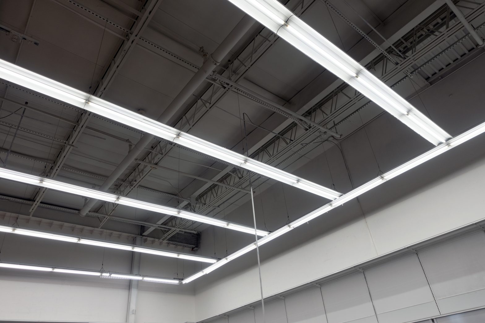 T8 LED tubes free shipping
