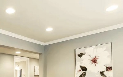 1000Bulbs Residential Downlights